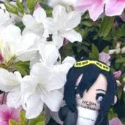 あかつき/年始発送1/5~の画像