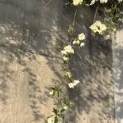 ナムの画像