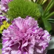 レイチェル‎(*¨̮*)の画像