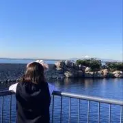 もの画像