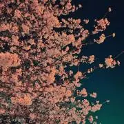 ゴリ松エテ夫の画像
