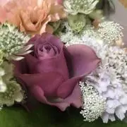 ととりんの画像