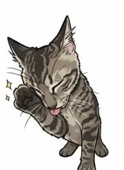 ナカジマの画像