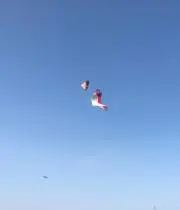 Laraの画像