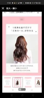 白猫の画像