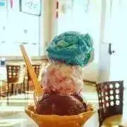 ぽぽの画像