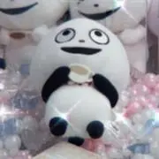 にゃんの画像
