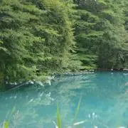 kumachiの画像