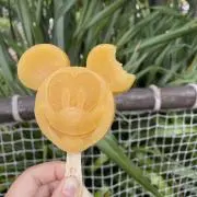 ぱぴこ