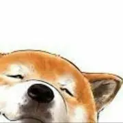 白鯨の画像