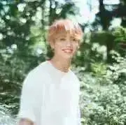 Euphoria..の画像