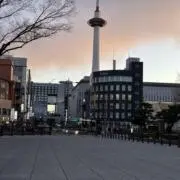 醤油