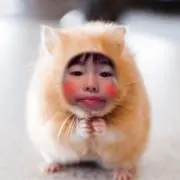 ♡チョコ☆