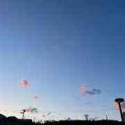 佐藤さんの画像