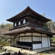 TNの画像