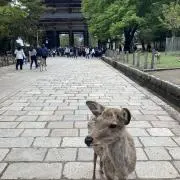 ミーmamaの画像