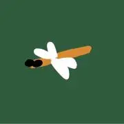 とんぼの画像