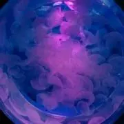 ぽてと!!の画像