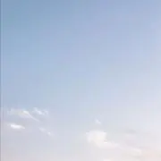 アル