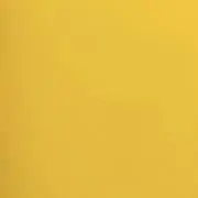 冬の画像