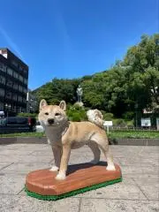 よん［ 自己紹介お読み下さい］の画像