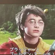 くたくまの画像