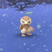 フレイバー