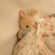 023【断捨離中】の画像