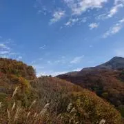 とのてんの画像
