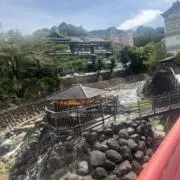 ysuの画像