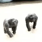 キングコング