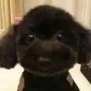 なほまひな☆