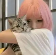 あかさたなの画像