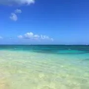 ソライロの画像