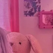 wolwの画像