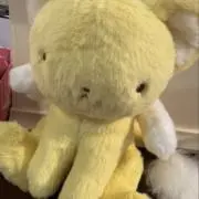 ゆずろんの画像