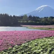 みなみの画像