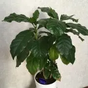 ◇◆◇断捨離ママ◇◆◇の画像