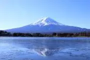 テンの画像