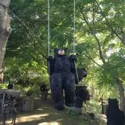 くりの画像