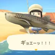 ツユの画像