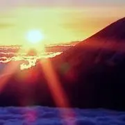 Yasu