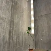kifuの画像