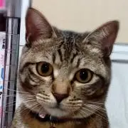 お母さん
