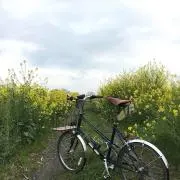 Ayaの画像