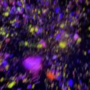 PON(断捨離中)の画像
