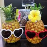 ☆PAL☆の画像