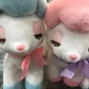 じゅんゆうの画像