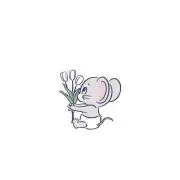 .tulip