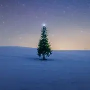 ぽっの画像